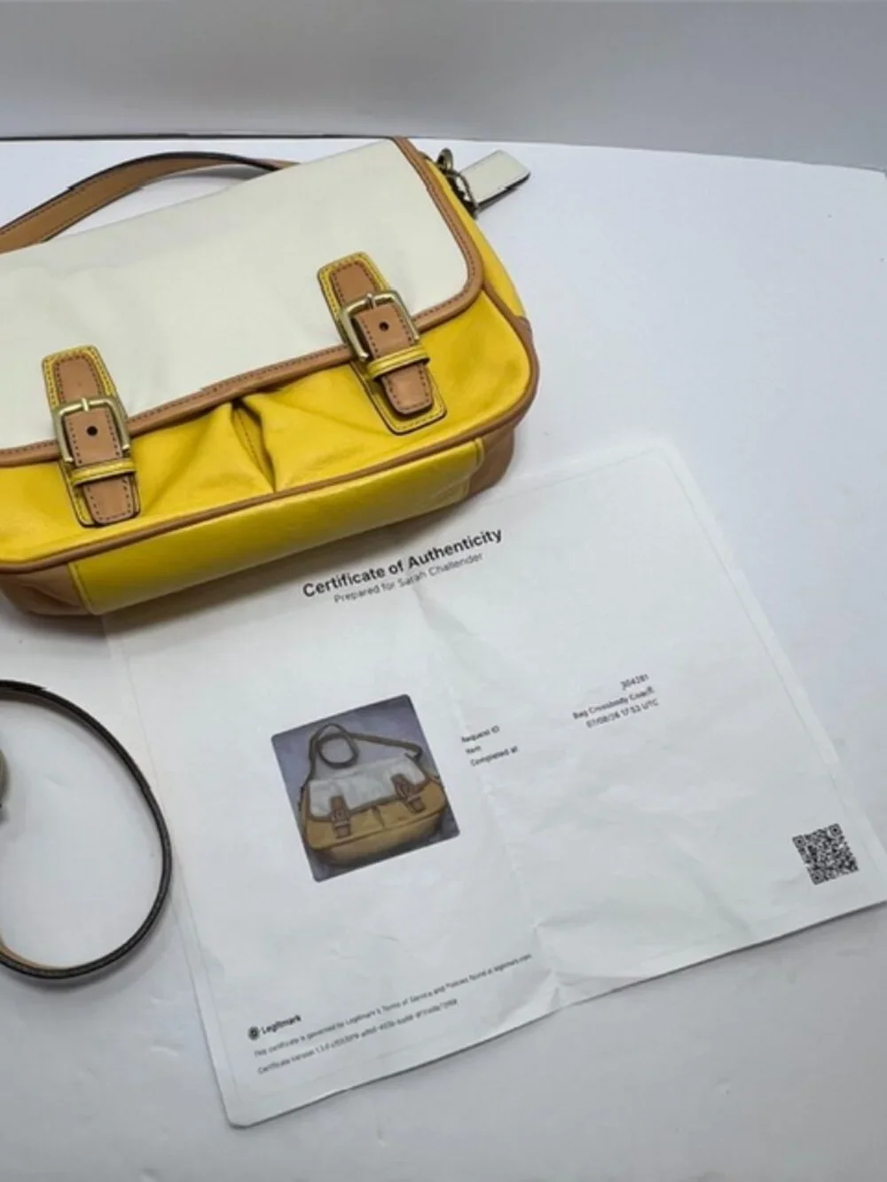 Coach park colorblock